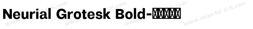 Neurial Grotesk Bold字体转换